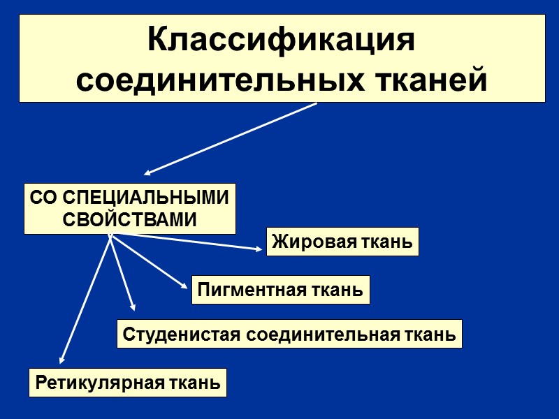 Классификация соединительных тканей СО СПЕЦИАЛЬНЫМИ СВОЙСТВАМИ Жировая ткань Пигментная ткань Ретикулярная ткань Студенистая соединительная